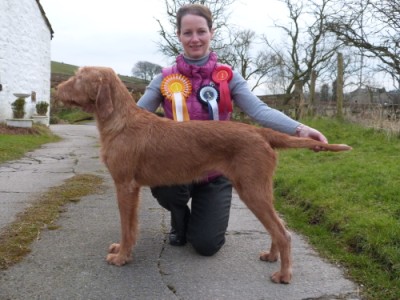 Huddersfield & District Canine Association Open Show