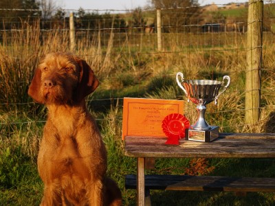 Saffy Junior Champ 2008